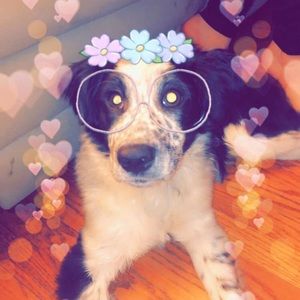 Meet your Posher, Danielle